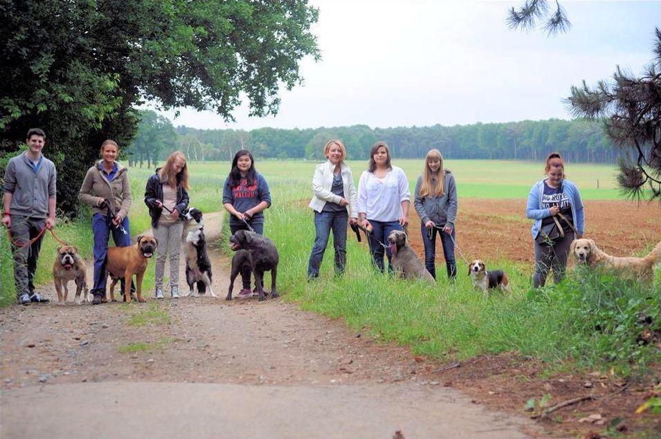 Word vrijwilliger en ga wandelen met de volwassen honden van Het Hezehof